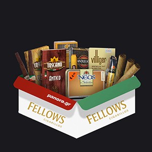 Fellows